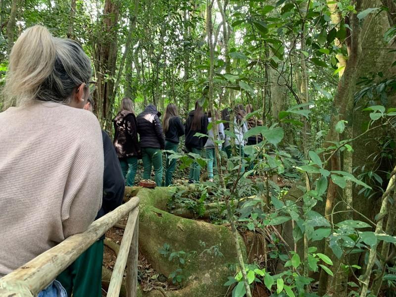 Trilha educativa em meio a área de preservação marca atividade em Nova Veneza
