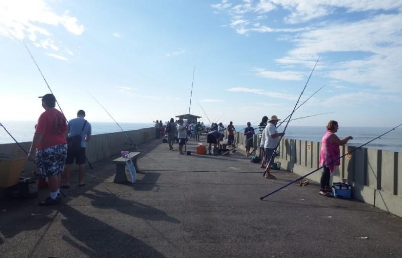 Plataforma Entremares promove torneio de pesca aberto aos não sócios  