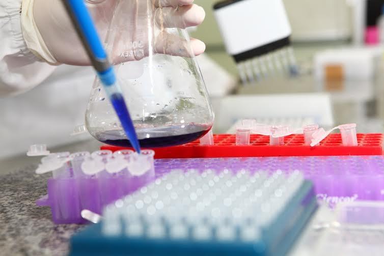 Biomedicina debate áreas de atuação em evento da Unesc