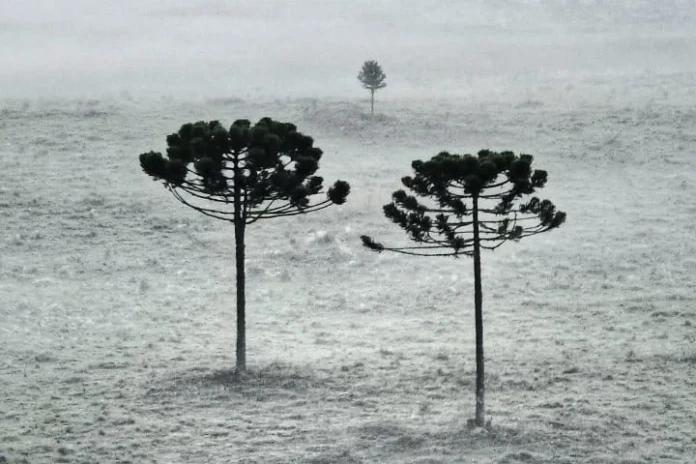 Nos últimos dias do verão, Serra de SC tem amanhecer gelado e primeira geada do ano