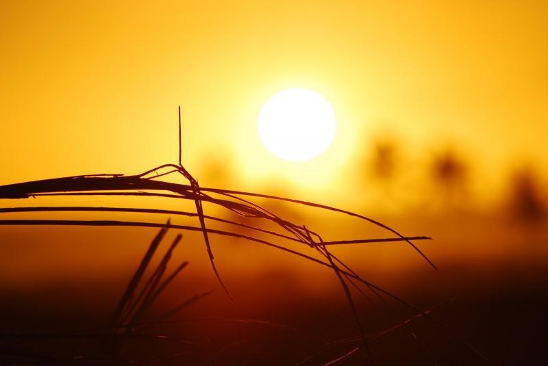 Primeiros dias de agosto serão de sol e com temperaturas mais altas na região carbonífera