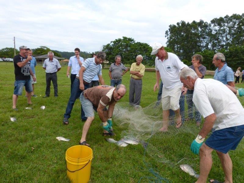 Cocal do Sul realiza avaliação de arraçoamento de nova espécie de tilápia