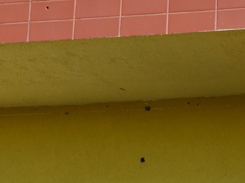 Investigação sobre tiros na casa de Décio Góes está avançada, diz delegado