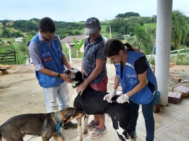No Sul do Estado, 3,8 mil animais recebem vacina contra a raiva 