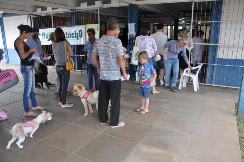 Mais de 80 animais são castrados e chipados em mutirão