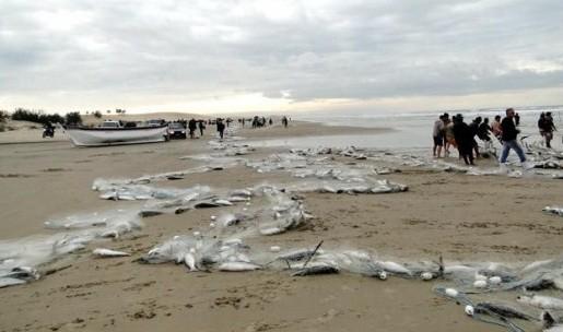 A dureza dos pescadores sem tainha no Rincão