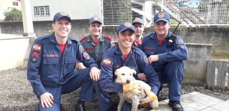 Bombeiros resgatam cachorra de bueiro em Criciúma