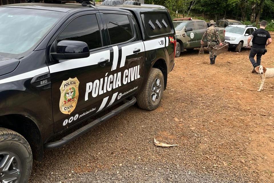 Ação integrada das forças de segurança combate caça ilegal e resulta em prisão no Sul de SC