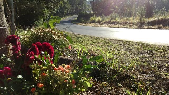 Na curva das mortes, só flores. Sinalização em 15 dias