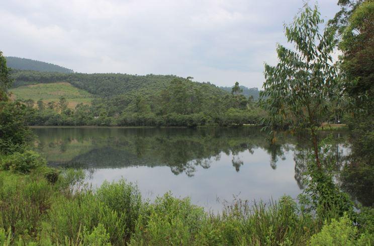 Recuperação ambiental vem mudando a paisagem no Sul catarinense