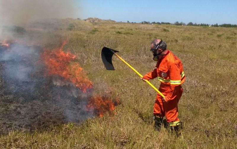 Bombeiros combatem incêndio em vegetação por duas horas
