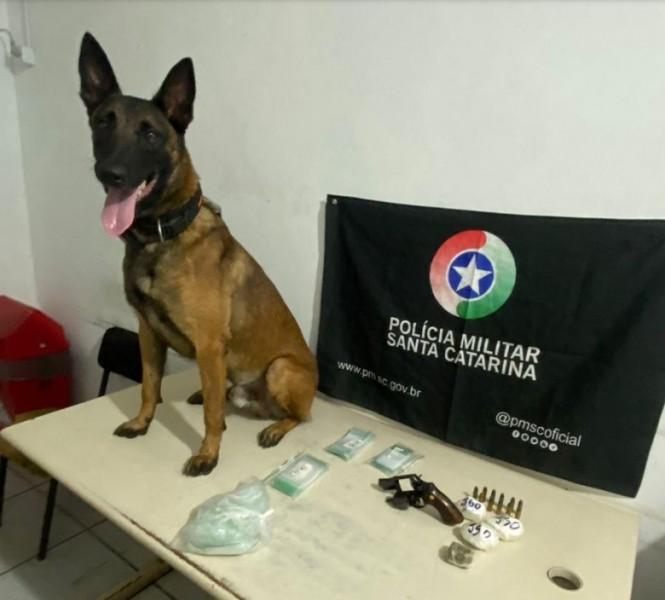 Araranguá: após tentar enganar PM, jovem é preso armazenando drogas e revólver em casa