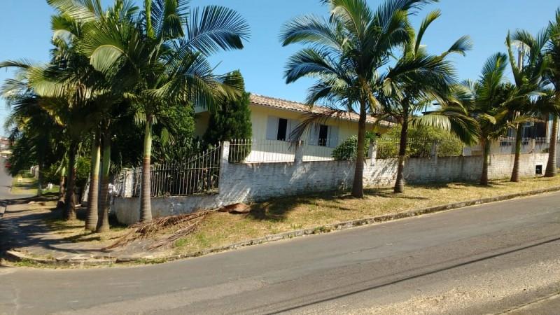 Projeto busca doações para resgatar vidas em Criciúma