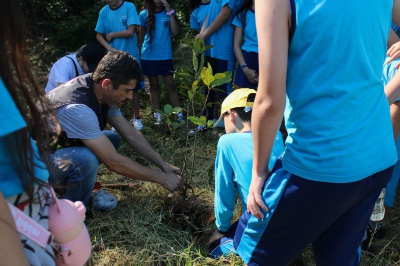 Crianças celebram o Dia da Árvore realizando plantios em Morro da Fumaça