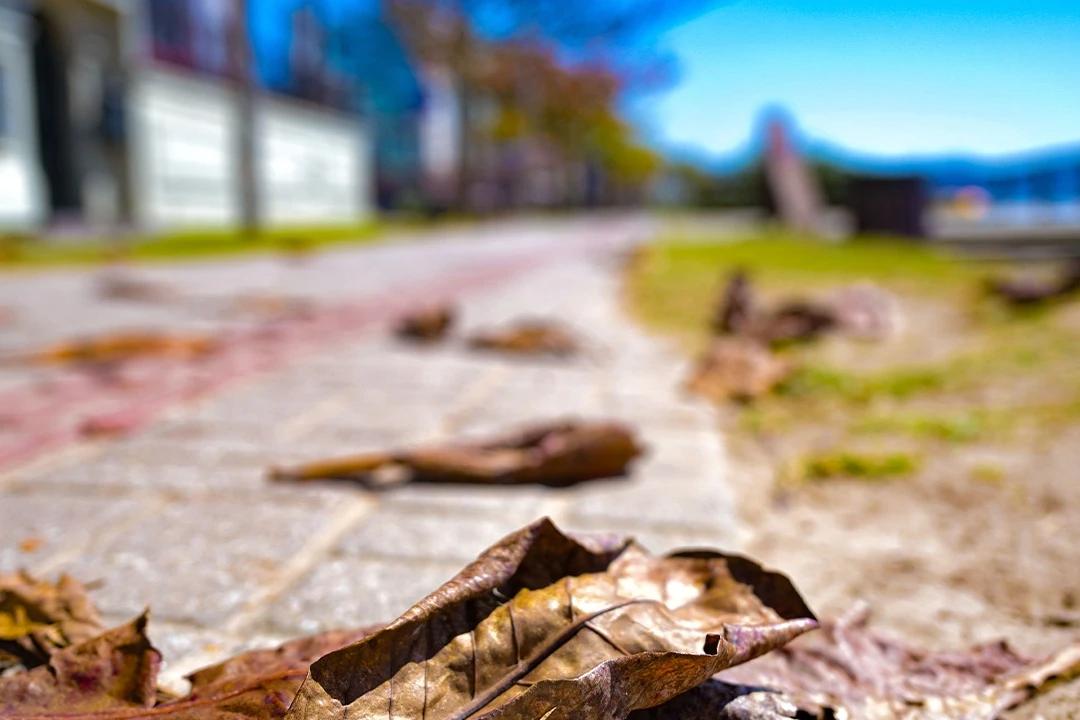 Outono começa com previsão de temperaturas acima da média em Santa Catarina