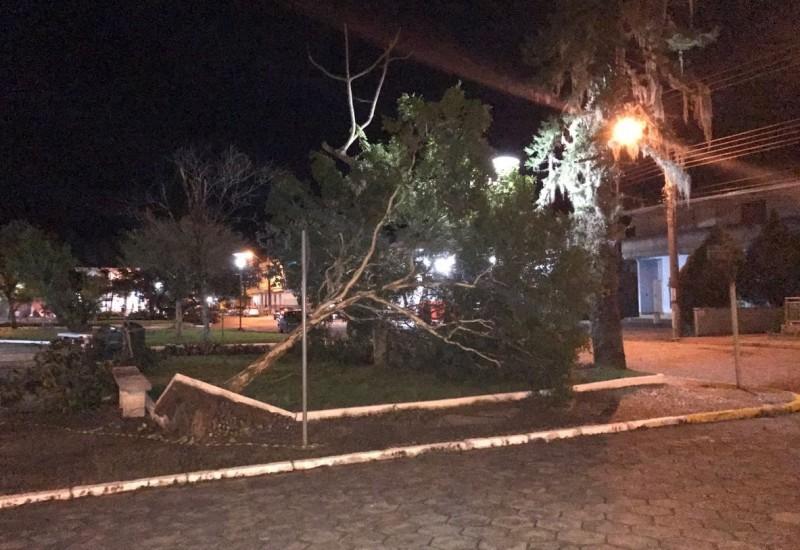 Liberado saque do FGTS em Treviso