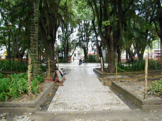 Rosa dos Ventos será símbolo dos 80 anos da Nereu Ramos