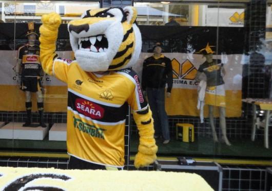 Em grande fase, Tigre festeja 66 anos de história