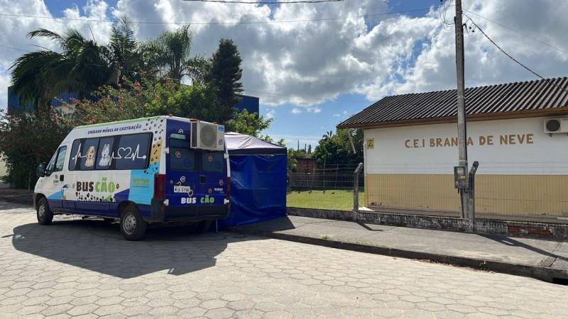 BusCão castra nove animais no loteamento Ana Elisa em Içara 