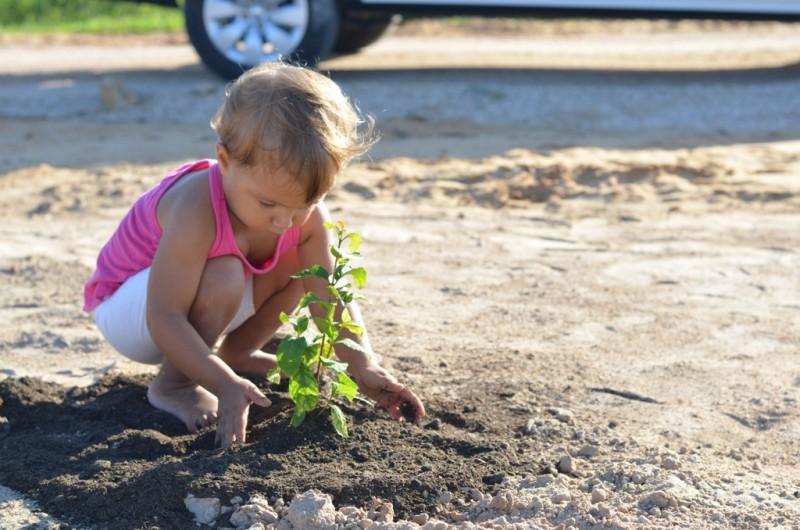Clube Nossa Horta promove plantio de árvores
