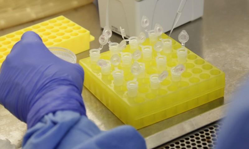 InfoGripe mostra tendência de aumento da Covid-19 em algumas capitais