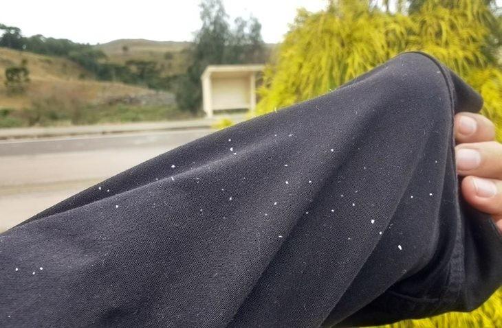 Tímidos flocos de neve voltam a ser registrados na Serra Catarinense