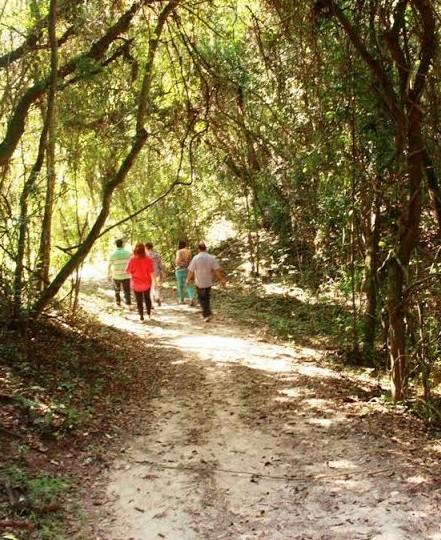 Grupo realiza visita de campo no interior do município