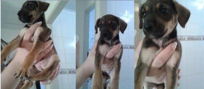 Procura-se Sem Nome