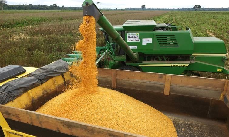 IBGE prevê safra recorde de 252 milhões de toneladas em 2020