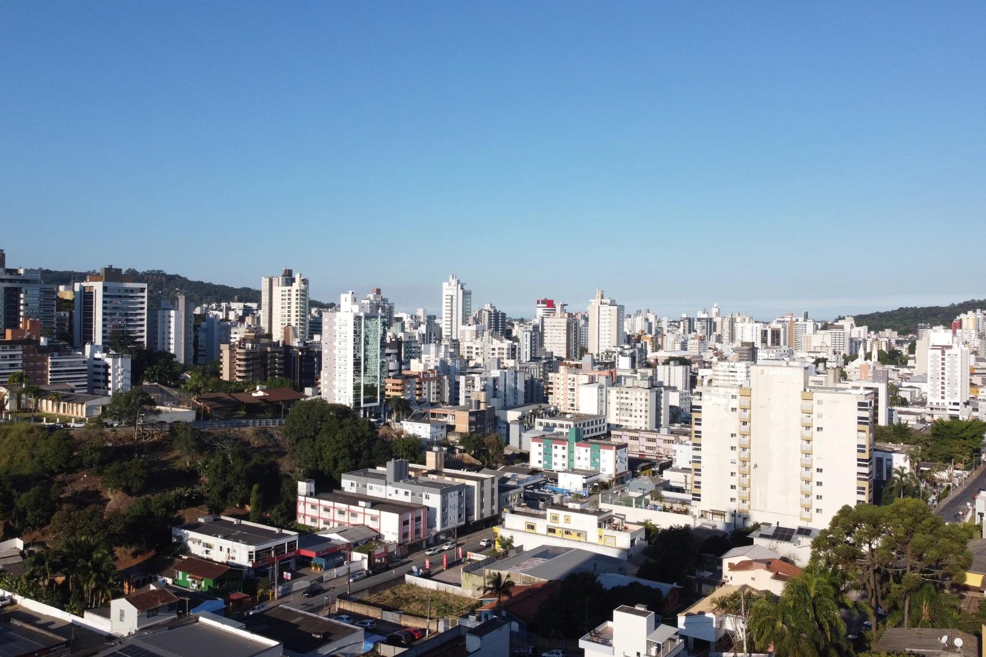 Câmara de Criciúma aprova audiência pública para discutir Plano Municipal de Arborização Urbana