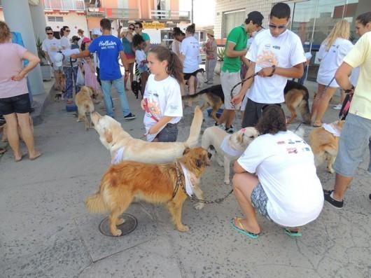 No Balneário Rincão, cerca de 100 cães participam da 1ª Cãominhada