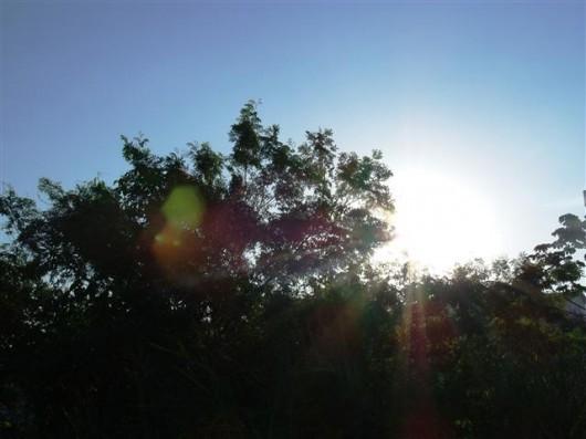 Agosto registra mais de 4ºC acima da média para o mês 