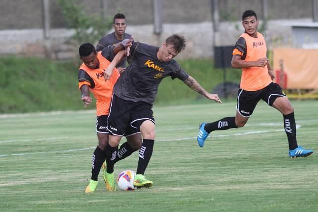 Tigre fecha primeira semana de trabalho na pré-temporada