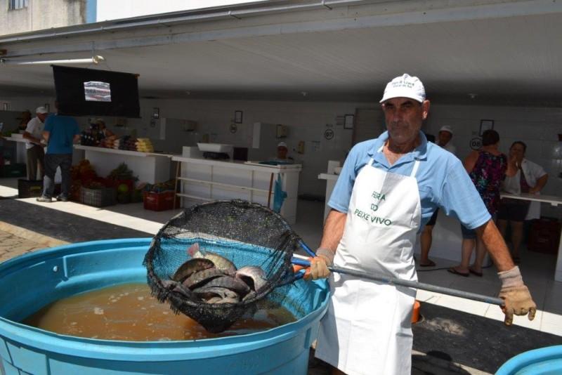 Feira do peixe vivo: mais de 200 quilos são vendidos