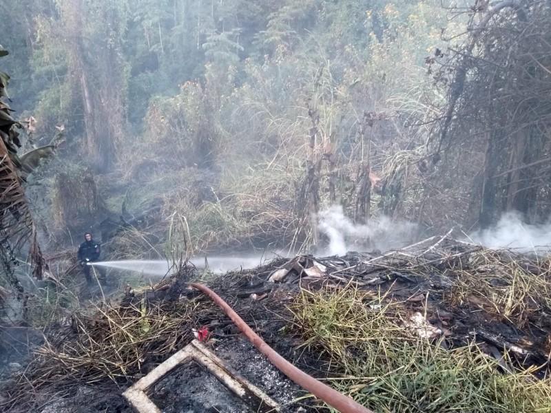 Bombeiros combatem incêndio em vegetação por seis horas