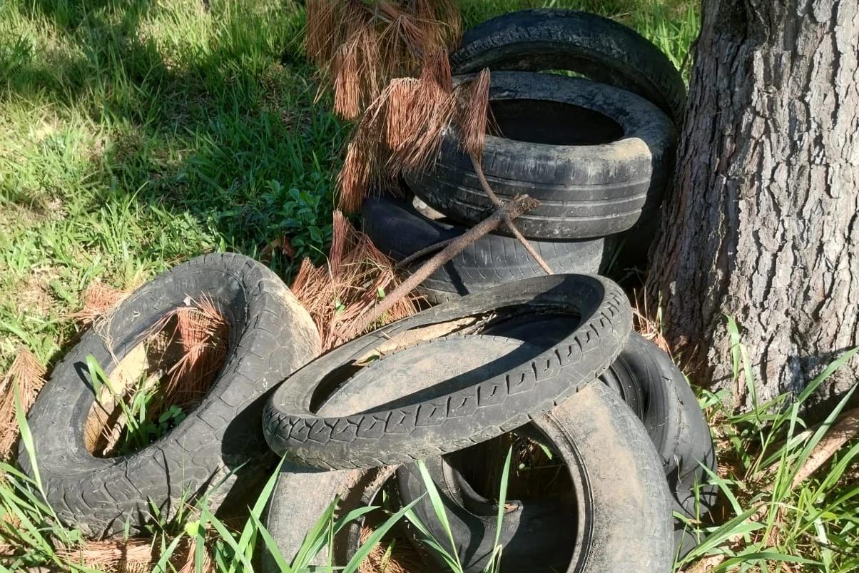 Vigilância Entomológica de Siderópolis orienta população após descarte irregular de pneus
