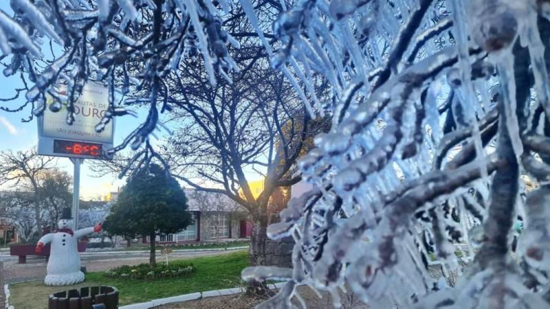 Temperatura atingiu -8°C na Serra catarinense; no Sul houve formação de geada em diversos municípios