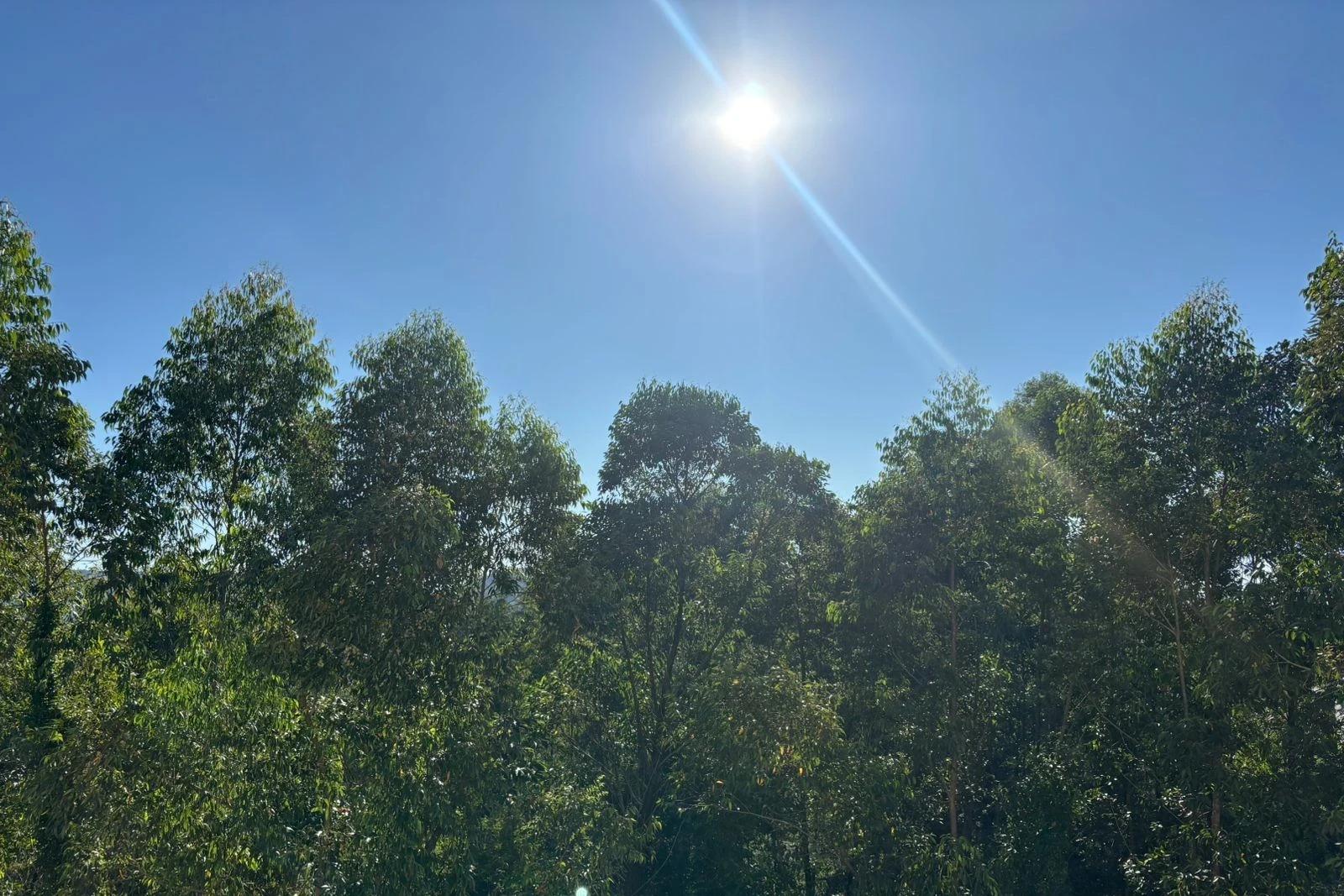 Sexta-feira Santa amanhece ensolarada na região de Criciúma