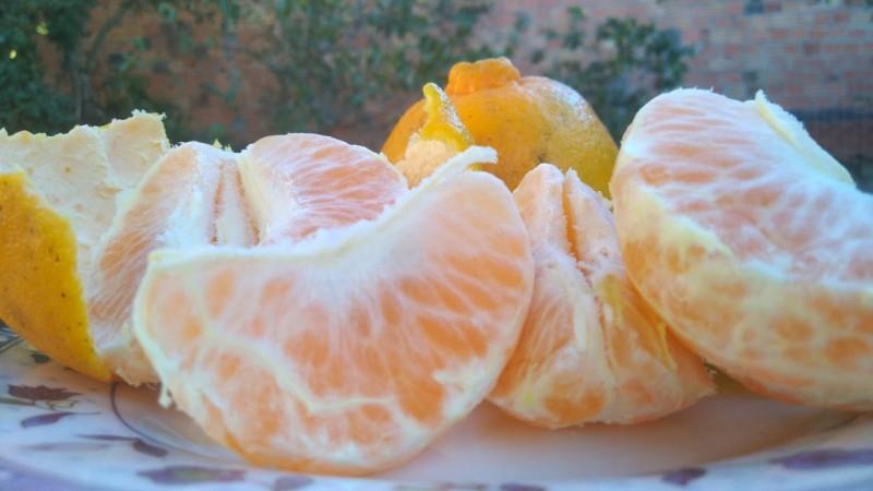 Dicas da nutri: na quarentena fuja dos industrializados ultra processados e crie rotinas alimentares