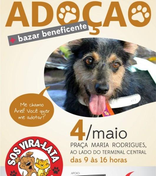 S.O.S. Vira-Lata promove feira de adoção no sábado 