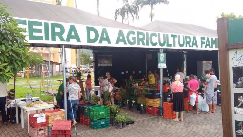 Feira da Agricultura Familiar de Siderópolis vai funcionar normalmente no dia 7 de setembro