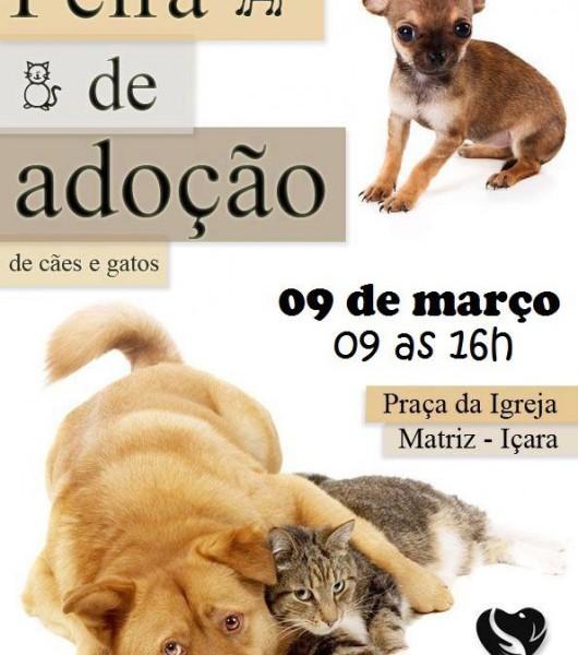 Ong Amigo Bicho, de Içara, realizará feira de adoção de animais