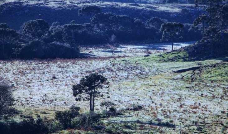 Em 2019, já são 71 registros de geadas na Serra Catarinense 