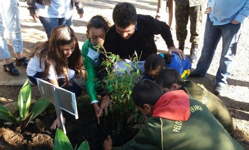 Plantio de capim Cresciúma encerra a Semana do Meio Ambiente