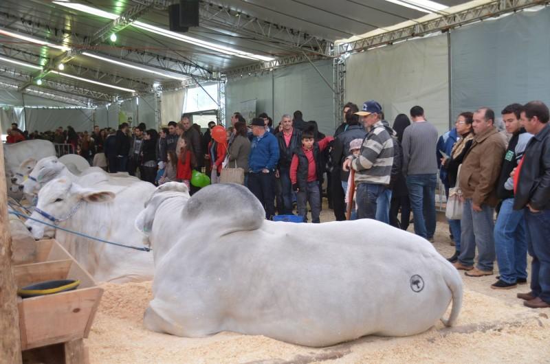 10ª Feira AgroPonte inicia nesta quarta-feira