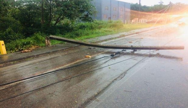 Queda de árvores, descarga elétrica em residência e alagamento: o resultado do temporal em Criciúma 