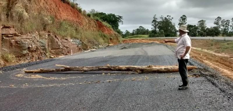 Eucaliptos e o seu Mazzuchello no caminho da Via Rápida