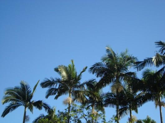 Sensação térmica chegou a 51°C nessa terça-feira