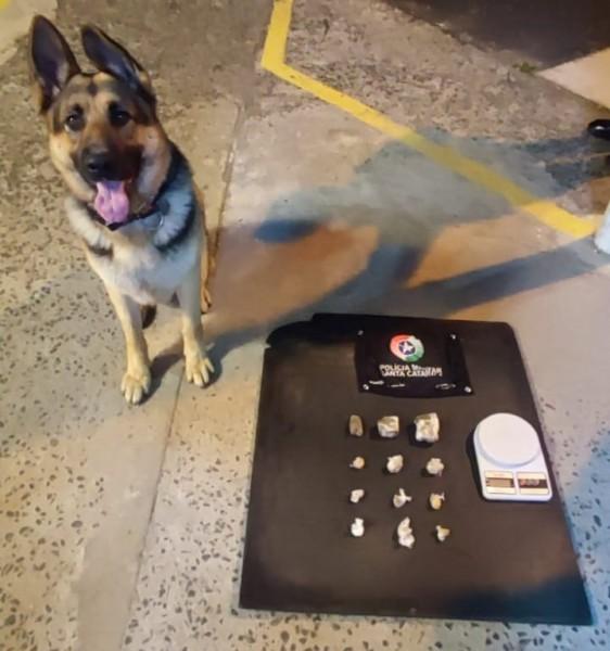 Com ajuda de cão farejador, PM de Criciúma apreende maconha, crack e cocaína no bairro Renascer