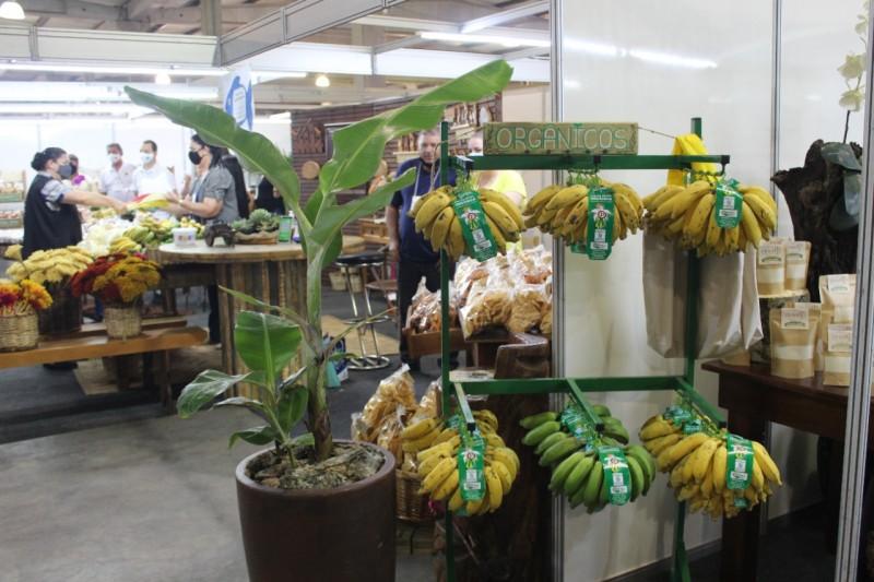Estande de produtos orgânicos é uma das atrações da AgroPonte